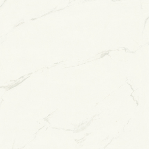 Q81020（爵士白）