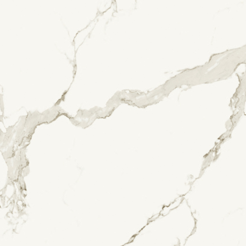 Q81023（鱼肚白）