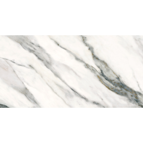 Q126002（熊猫白）